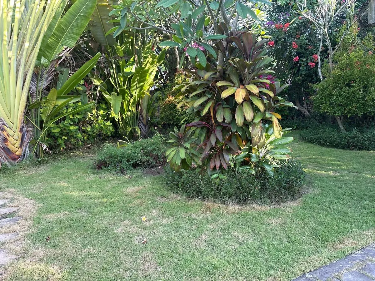 Homestay 金巴兰小屋