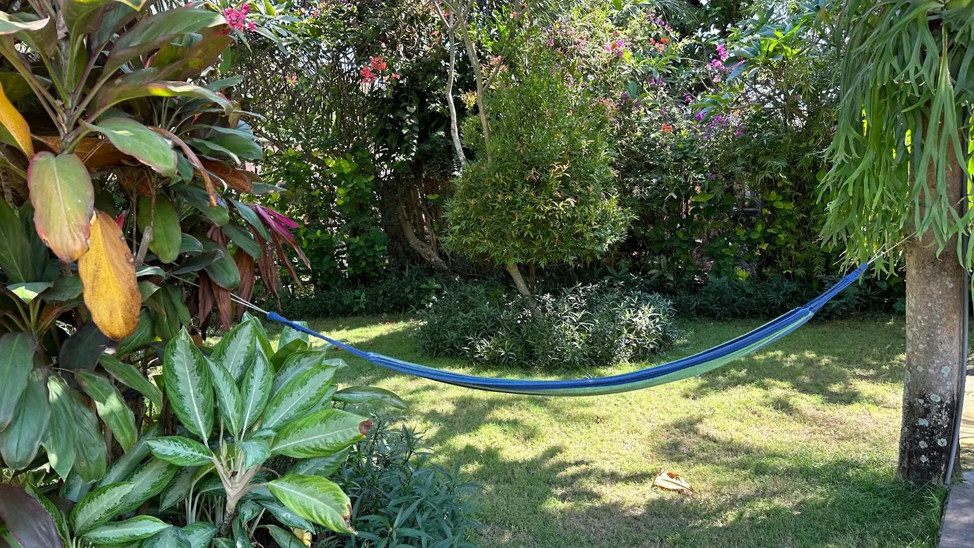 金巴兰小屋 Indonesia