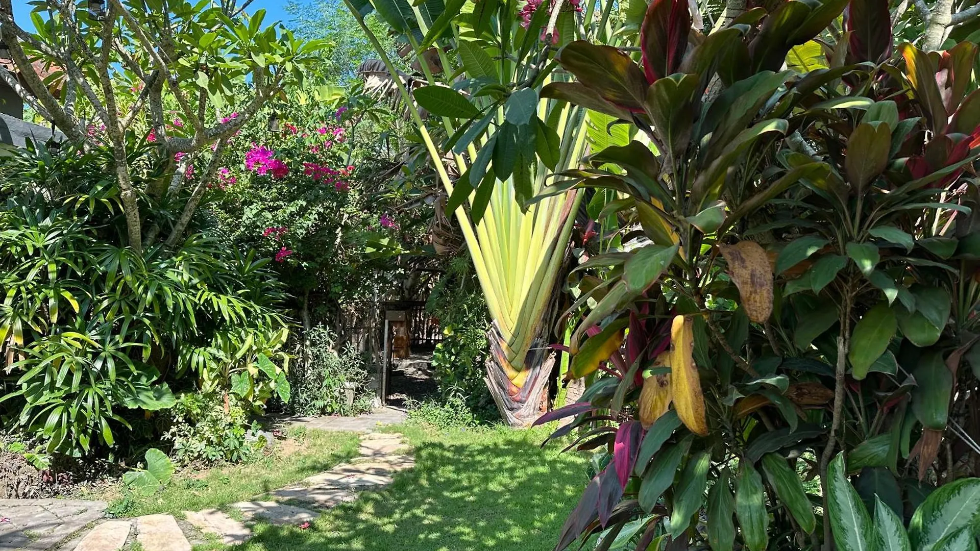 金巴兰小屋 Homestay Jimbaran (Bali)